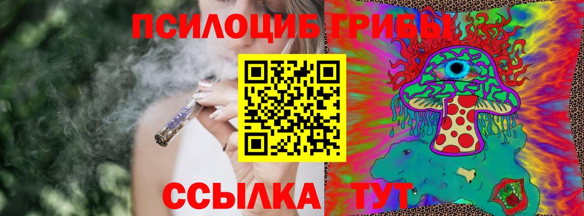 Шебекино  Галлюциногенные грибы Magic Shrooms  Вход с VPN 